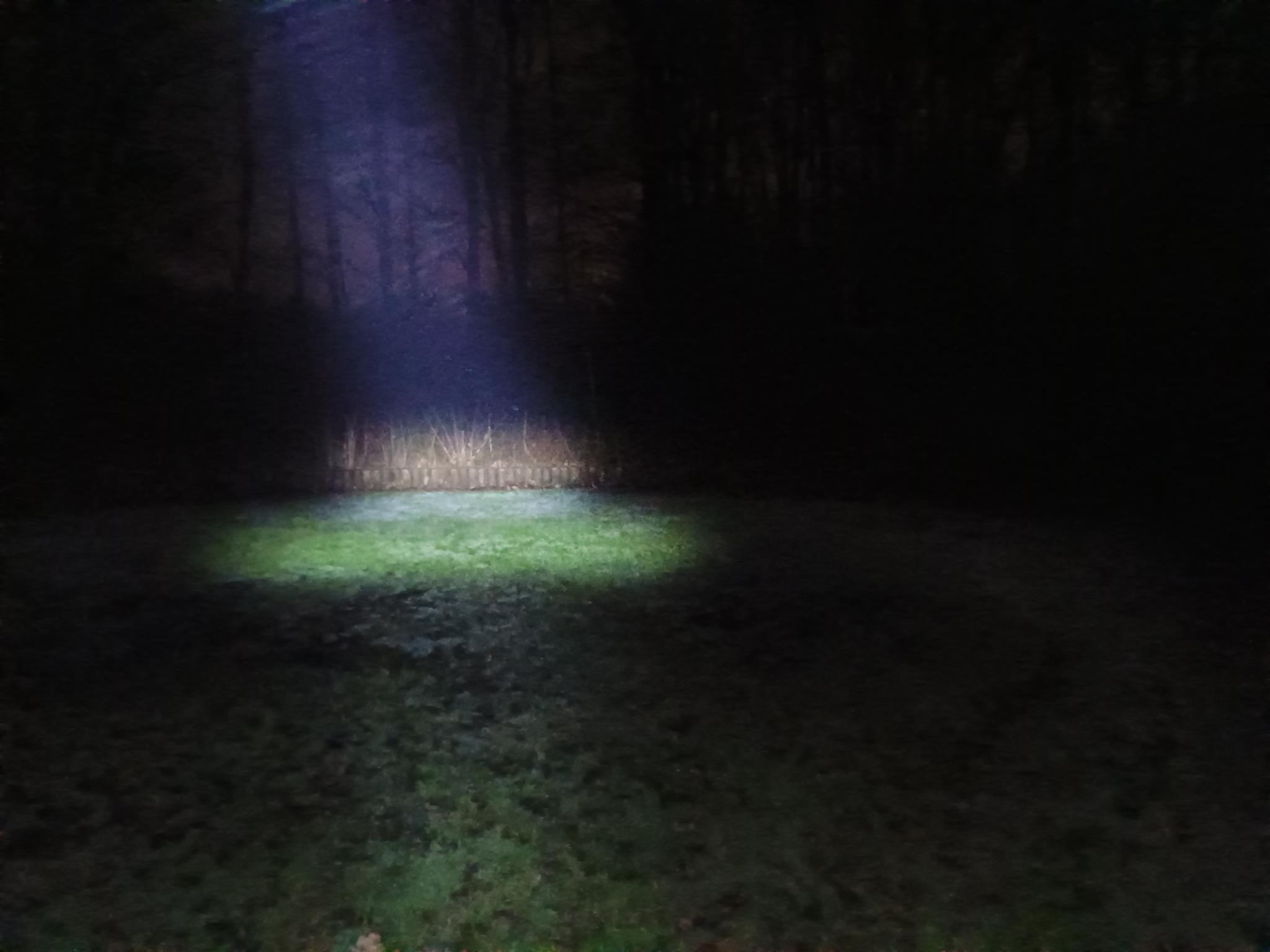 a dark meadow and torch showing a spot