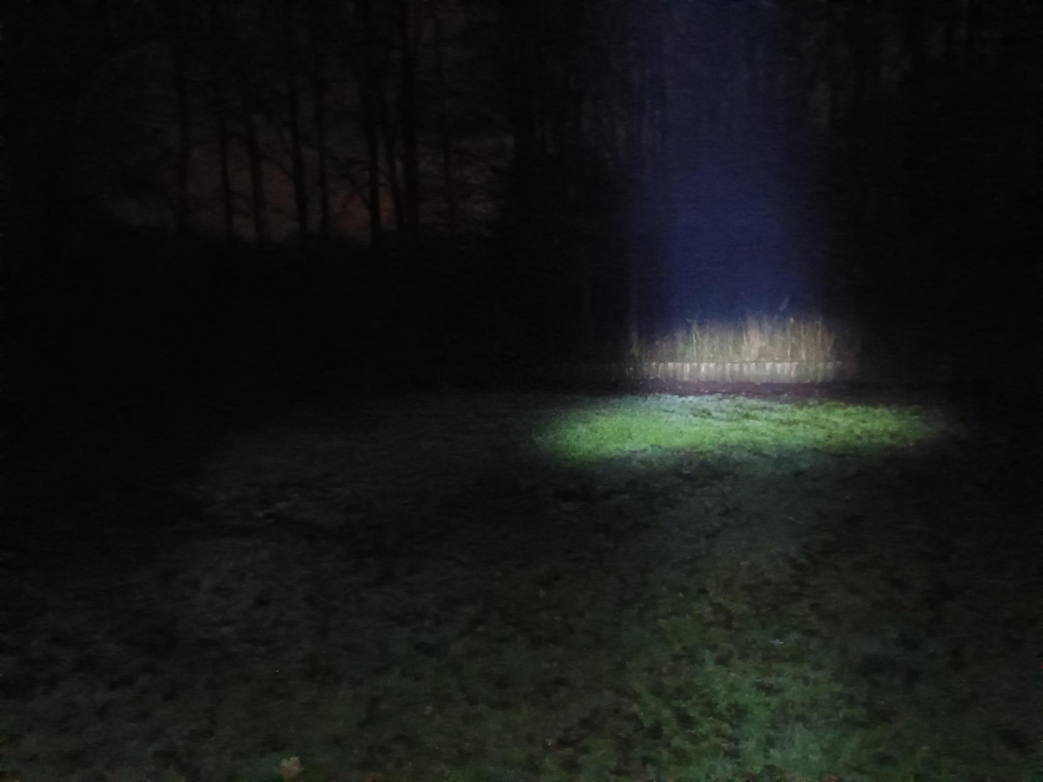 a dark meadow and torch showing a spot